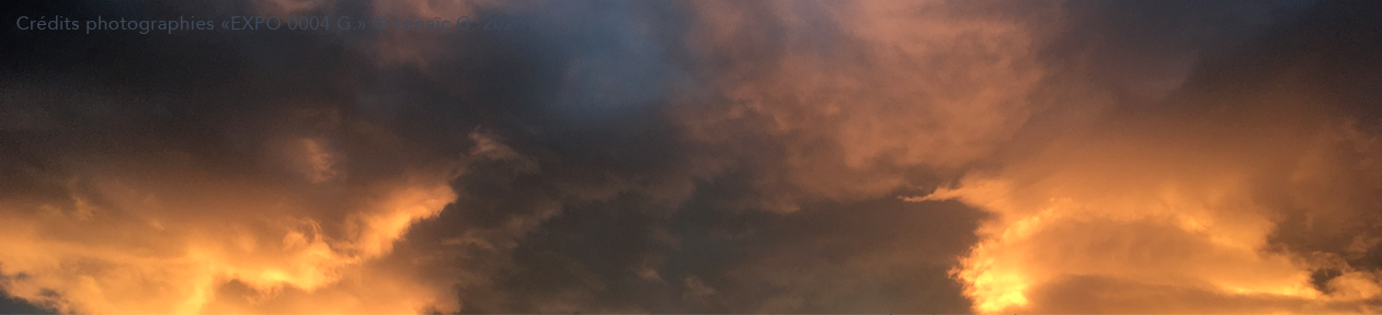 Expo 0004 G. 2020 Expo 0004 G. 2020