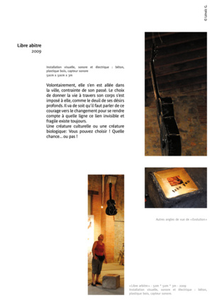 "Libre-arbitre" est une installation visuelle et électronique pouvant se louer. "Libre-arbitre" est une installation visuelle et électronique pouvant se louer.