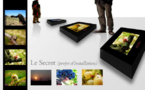 Projets